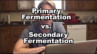 Primary vs Secondary Fermentation Whats the Difference [upl. by Ewall]