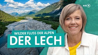 Der Lech von Österreich bis Bayern  Der letzte wilde Fluss der Alpen  ARD Reisen [upl. by Esenej]