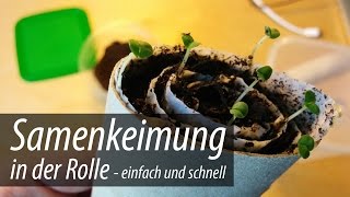 Samenkeimung in der Rolle  so gehts schnell und einfach [upl. by Aseel]