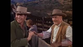 Bonanza  The Hayburner  Western TV Series  Cowboys  Full Episode  English [upl. by Remo138]