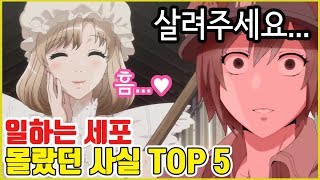 애니 속 충격적인 숨겨진 사실 TOP5 일하는 세포 현실이 만만치않다 [upl. by Anual179]