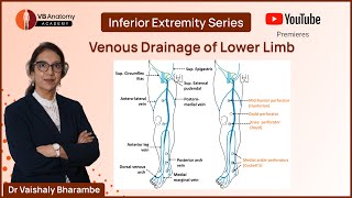 Unraveling the Mysteries of Venous Drainage An Allencompassing Anatomy Guide [upl. by Xenophon]