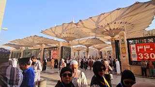 Abaya murah langganan artis dekat masjid nabawi  Madinah street view  4K Walking amp Tour [upl. by Ised]