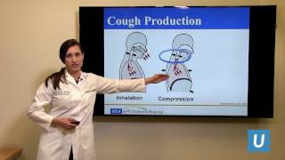 Evaluation of Chronic Cough in Children  Mindy Ross MD MBA MAS  UCLAMDChat [upl. by Maag697]