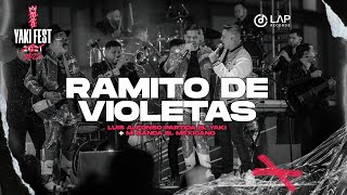 Ramito De Violetas  YouTube Music [upl. by Viehmann]