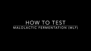 How To Test Malolactic Fermentation MLF [upl. by Nymrak]