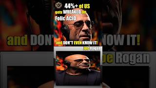 44 of Us gets WRECKED on FOLIC Acid and DONT Even KNOW IT Joe Rogan [upl. by Hi818]