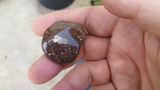 Polished rocks from Brazos River coming out [upl. by Radec]