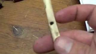 Make A Bird Bone Whistle [upl. by Orodoet]