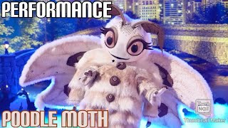 Poodle Moth Performs quotJust The Way You Arequot By Billy Joel  Masked Singer  S11 E3 [upl. by Faustus]