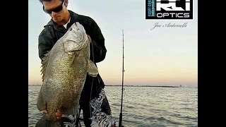 Buoy Call  Tripletail Fishing [upl. by Fasto]