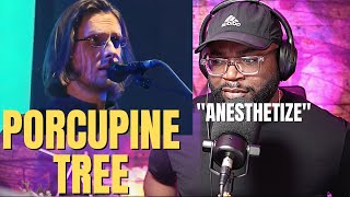 First Time Hearing Porcupine Tree  Anesthetize Reaction [upl. by Hcir]