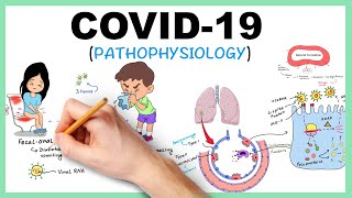 COVID19 Corona Virus Pathophysiology [upl. by Yanaj]