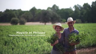 Nos Producteurs de Verveine  Philippe amp Magalie  LOCCITANE [upl. by Ahsille]