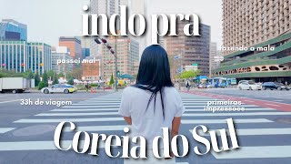 A VIDA AOS 30  FUI PRA COREIA DO SUL [upl. by Norrabal]