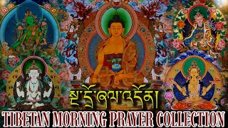 ☸Tibetan Morning Prayer Collectionསྔ་དྲོ་ཞལ་འདོན། दैनिक बिहानी साधना [upl. by Peyter734]