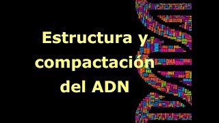 Estructura y compactación del ADN [upl. by Eedoj]