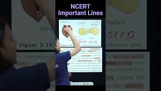 Structure Of Dicotyledonous Seed  Revision Biology NEET  NCERT important lines for NEET neet2025 [upl. by Jessy]