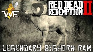 Red Dead Redemption 2 How To Find Kill amp Sell The Legendary Big Horn [upl. by Ennyrb]