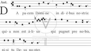 Geerten Liefting  Da Pacem Domine [upl. by Giarc]