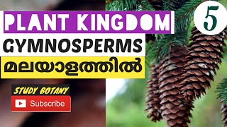 GYMNOSPERM PLANT KINGDOM PLUS ONE BIOLOGY CHAPTER3 MALAYALATHIL  STUDY BOTANY  NCERT SCERT CBSE [upl. by Janetta]