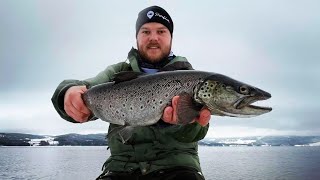 Storørret fiske i Mjøsa fra land i januar [upl. by Arutak909]