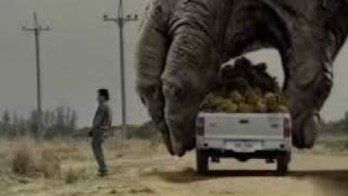 Two Giant Gorilla plays the car [upl. by Hollander]