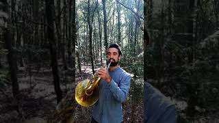 Lord of The RIngs  UrukHai Theme Short TikTok Video [upl. by Harlin]