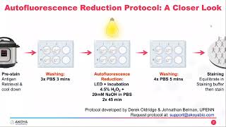 How Autofluorescence Reduction can Improve Your CODEX Workflow [upl. by Marala952]