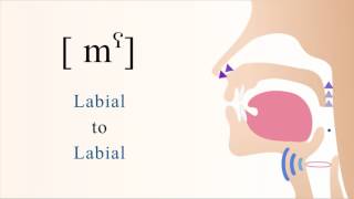 mˁ  voiced pharyngealized bilabial nasal stop [upl. by Nybor]