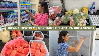 PROMOÇÃO INCRÍVEL CORRI PARA PARTICIPAR  FEIRA DA SEMANA ORGANIZAÇÃO DA GELADEIRA  LAÍS VELOSO [upl. by Amity]