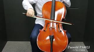 【楽器試奏動画】Roderich Paesold PA602J Cello [upl. by Annaya]