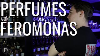 LOS 10 MEJORES PERFUMES CON FEROMONAS  PP [upl. by Thalassa]