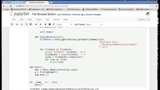 PyQt4 Python GUI 6 File Browse Button [upl. by Becky]