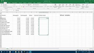 Winst berekenen BEDRAG Excel [upl. by Dawaj908]