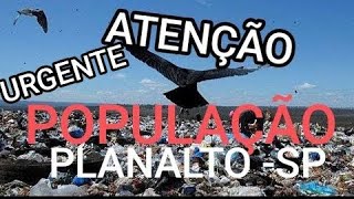 População Planalto sp Help [upl. by Murat]