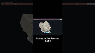 Fun Facts about Ethmoid Bone [upl. by Nomis]