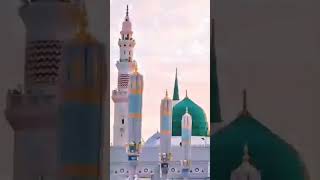 MUHAM MAd NABİNA NEW STATUS 12 RABİUL AWAL 2024 [upl. by Nebur]