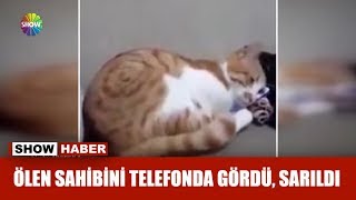 Ölen sahibini telefonda gördü sarıldı [upl. by Estrellita256]