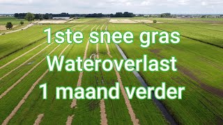 1ste snee gras 2024 valt in het water  Letterlijk   Wateroverlast  Update 1 maand verder [upl. by Pas]