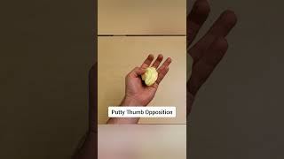 De Quervains Tenosynovitis  Rehab Exercises that work thumbpain wristpain dequervains [upl. by Delwin]