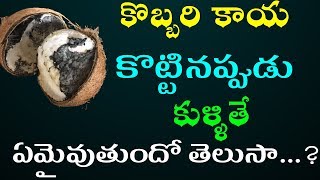 పూజలో కొబ్బరికాయ కుళ్ళితే ఏమైవుతుందో తెలుసా  kobbari kaya kullipothe  TeluguNew [upl. by Sibyl]