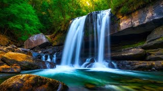 10 hours Waterfall Symphony Ultimate Relaxation Music Forest Soundbirds sound anxiety ASMR♻ [upl. by Lydnek]