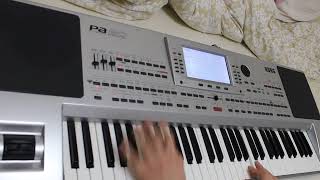 KORG PA80 ELEDİM ELEDİM [upl. by Alius]