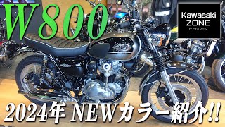 「W800」2024年1月20日発売のNEWカラーをご紹介致します！カワサキゾーン  KAWASAKI ZONE [upl. by Aneahs]