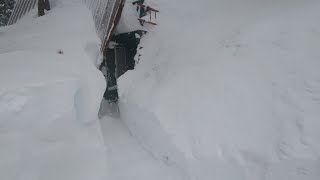 Day 5  Blizzard of 24  All Dug OUT 4 ft FRESH POW at Serene Lakes near Donner Pass CA March 4 [upl. by Rodl]