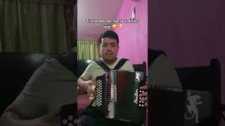 El chubasco carlos y jose acordeon honner panther mty carlosyjose musicanorteña [upl. by Fidelity]