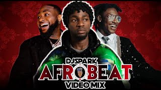 2024 BEST OF THE BEST NAIJA AFROBEAT VIDEO MIX BY DJ SPARK FT DAVIDOASAKEOLAMIDEWIZKIDSHALLIPOPI [upl. by Heydon]