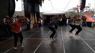 Coreografía Show Espectaculo  Revelación llanera y Joropo sin Fronteras Bojacá 2018 [upl. by Akiret656]