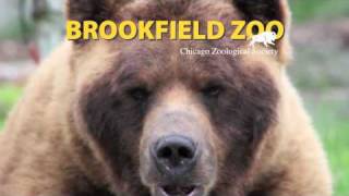 Brookfield Zoo 30second Commercial quotSeeing is Believingquot [upl. by Gnidleif]